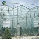 Venlo Greenhouse Commercial Polycarbonate Glass Greenhouse For Seeds Vegetables