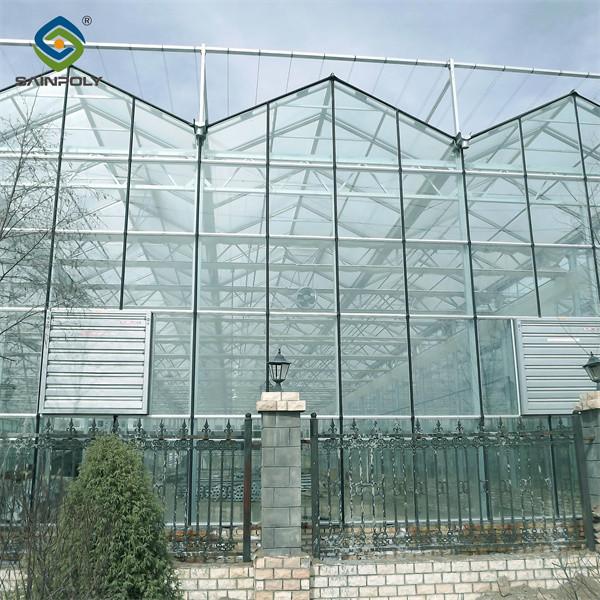 Venlo Greenhouse Commercial Polycarbonate Glass Greenhouse For Seeds Vegetables