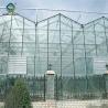 Buy cheap Venlo Greenhouse Commercial Polycarbonate Glass Greenhouse For Seeds Vegetables from wholesalers