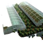 Film Covered Greenhouse Tower Garden/Aduaponics for Sustainable Farming