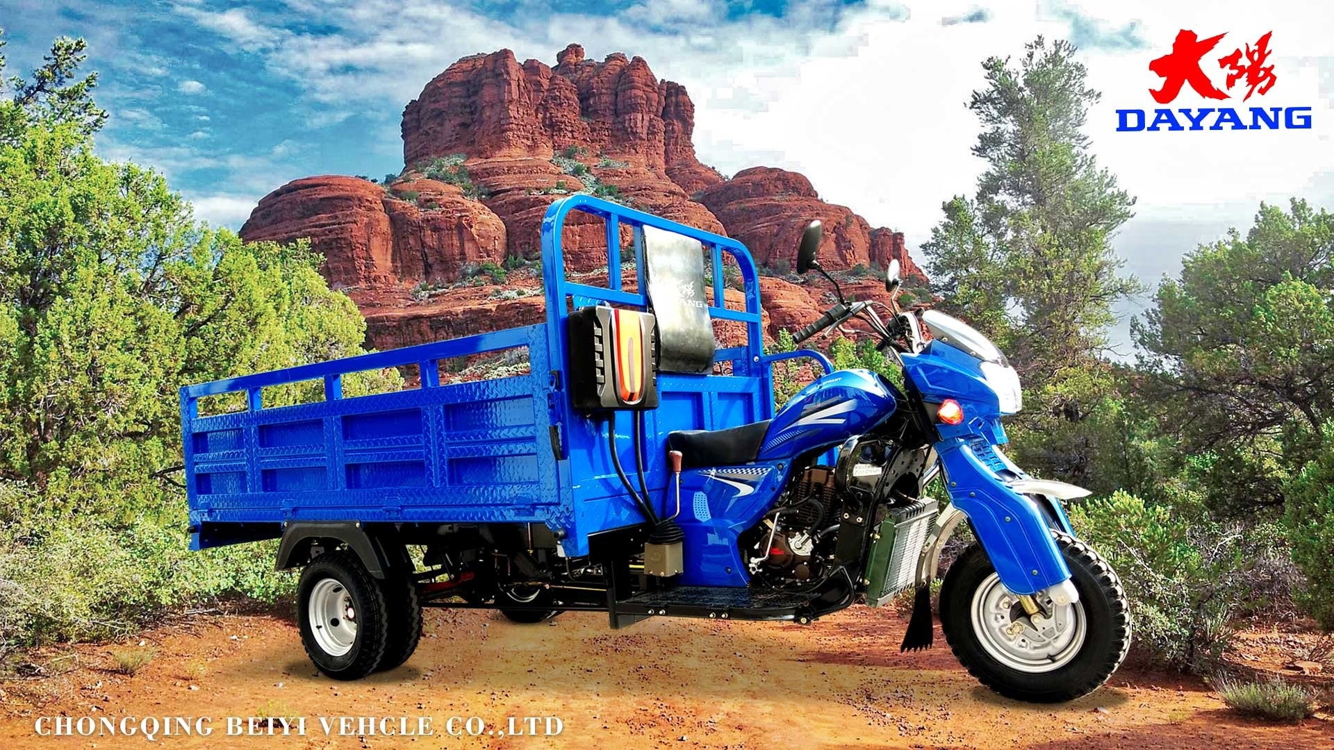 Comfortable 3 Wheel Cargo Tricycle Motorized Fuel Motorcycle with 50*100 Chassis