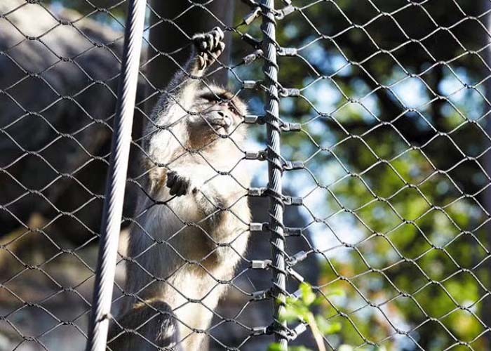 Woven 3mm Stainless Steel Wire Rope Mesh For Zoo Animal Fence