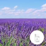 OEM Organic Lavender Essential Oil