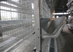 Quality Battery Industrial Poultry Equipment / Energy Saving Layer Farming Cage wholesale