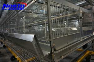 Quality Layer chicken cages / Poultry cages wholesale