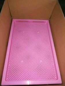 Quality Food Grade Metal / Plastic Drying Trays For Drying Capsule Candy wholesale