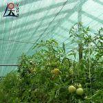 Anti UV Greenhouse agricultural shade cloth 40 Rate Dark Green