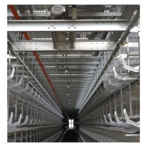Quality Layer Cages Poultry Farm Battery Cages Chickens Automatic Layer Chicken Cage For 20000 Birds wholesale