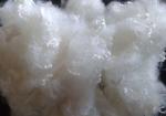 Sea Island Micro Denier Reliance Polyester Fiber 3d X 51mm For Suede Fabric