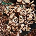 800-3000kg/h AC Radiator Recycling Plant Aluminum Copper Scrap Recycling Plant
