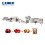 Fruits And Vegetables Washing Machine Washing Machine Assembly Line Vegetable