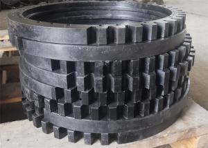 Quality Non Standard Spur Toothed Worm Gear Wheel Anti Static Nylon Material Customized wholesale