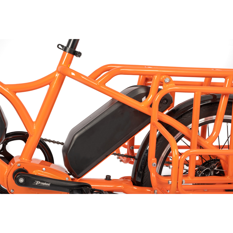 Family E-cargo Electric Bike with 20" Wheels 80km Range and Two 36V 13AH Batteries
