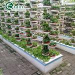PO Film Protected Indoor Hydroponic Growing Systems for Greenhouse
