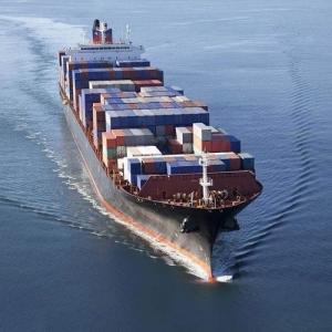 Quality Low Cost DDP International Shipping By Sea Logistics Shipping From Shanghai To Australia wholesale