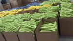 Environmental Protection Durable Throwing EPP Foam Aircraft OEM Designs