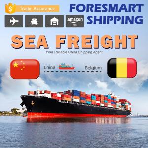 Quality 40ft China To Belgium International Sea Freight Services wholesale