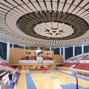 Quality S235JR Prefabricated Steel Structure Sports Hall 150mm Roof Lightweight wholesale