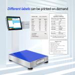 300KG Carbon Steel Medical Scale Industrial Weighing System for Pharmaceutical