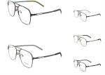 12G Elliptic Temple Adjustable Beta Titanium Glasses ZTO 2166