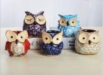 Succulent Plant Mini Ceramic Owl Animal flowerPot