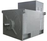 3.3KV Generator High Voltage Generator Alternator 800KW @ 50HZ