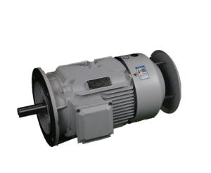 Quality IMB3 92.4% High Efficiency Three Phase AC Motor YE3 160L-2 18.5KW wholesale