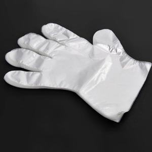 Quality Popular Folding Transparent Plastic Gloves , Disposable Polyethylene Gloves wholesale