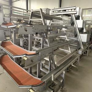 Quality Wanxin Motor Automatic Chicken Egg Collector , 2mm HDG Layer Poultry Farming Equipment wholesale