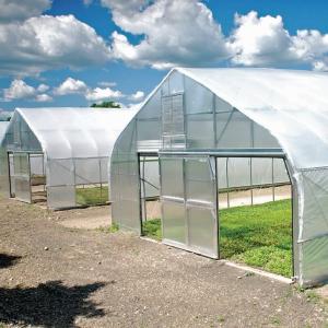 Quality Polycarbonate Greenhouse For Sale Single Span Greenhouse Gothic wholesale