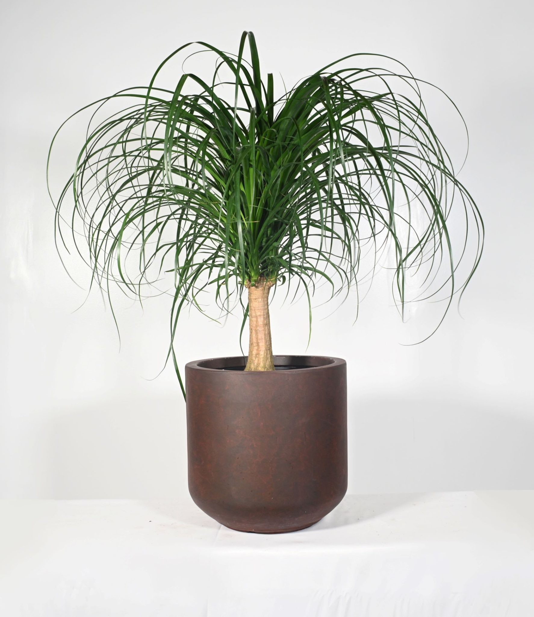 Frost Resistant Patio Fiber Clay Planters Round Shape