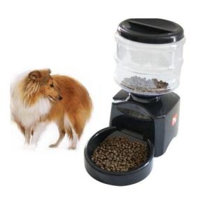 Quality automatic large dog feeder Auto Pet Dry Food Dispenser wholesale