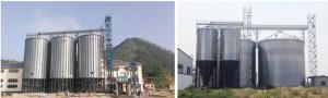 Quality Cone Bottom Steel Grain Silo For Flour Production Industry High Efficiency wholesale