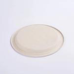 Waterproof Eco Friendly Disposable Sugarcane Bagasse Food Container