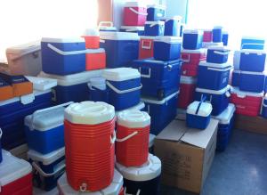 Quality OEM Outdoor Plastic Cooler Box Milk bucket Igloo water cooler OEM Branding Water bucket wholesale