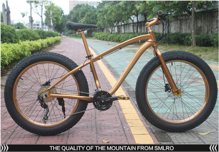 Private Label OEM 1000W 29 Inch Electric Mountain Bike