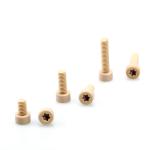 Plain Finish PEEK Plastic Machining Flat Round Head Peek Screw ISO Standard