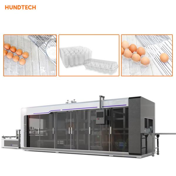 PLC Egg Tray Making Machine Egg Carton Blister Machine Thermoforming Reusable
