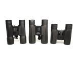 10x32 Adult Compact Binoculars Bird Watching Hiking Wildlife
