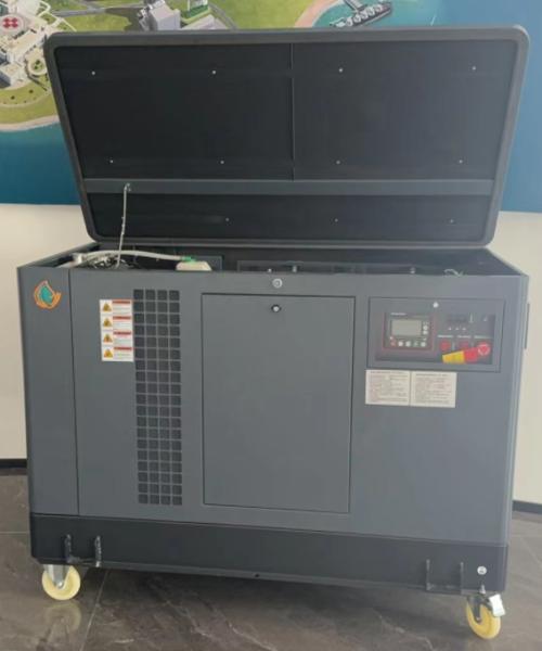 10kw 15kw 20kw EPA Certified LPG Natural Gas Generator with 120V/220V Electric