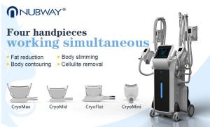 Quality 4 handles Cryo Therapy Cool Sculpture Zeltiq cryolipolysis machine 2018 wholesale