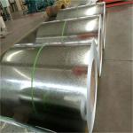 Prepainted Galvanized Steel Coil