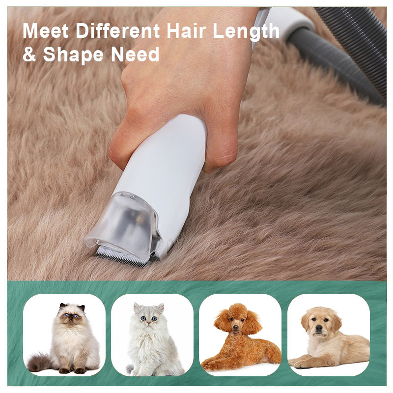 Low Noise 6-in-1 Dog Grooming Kit Pet Grooming Vacuum for Dog Cat Voltage 110-240V