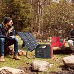 Uninterupted power source portable pure sine wave inverter 600W