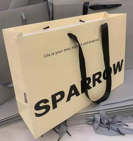 Customized Gift Bags with Free Design for Clothing Cosmetics and Shopping