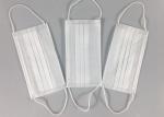 Daily Protection FDA Nonwoven Triple Layer Earloop Face Mask
