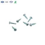 OEM Carbon Steel Galvanized Cross Disc Head Drill Tail Screw Custom Fasteners