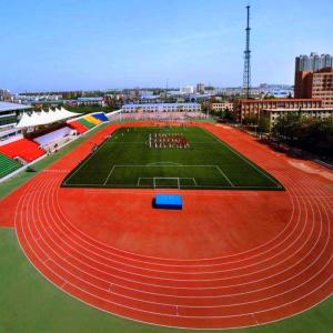 Quality Abrasion Resistance Synthetic PU Jogging Track Flooring Material wholesale