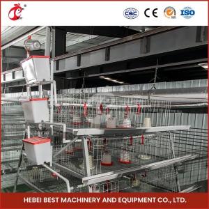 Quality 1.6m Wide 4 Tier Layer Cage For Poultry Farmers Rose wholesale