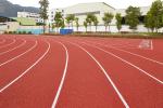 13mm Weather Resistance Sandwich System Running Track High Elasticity